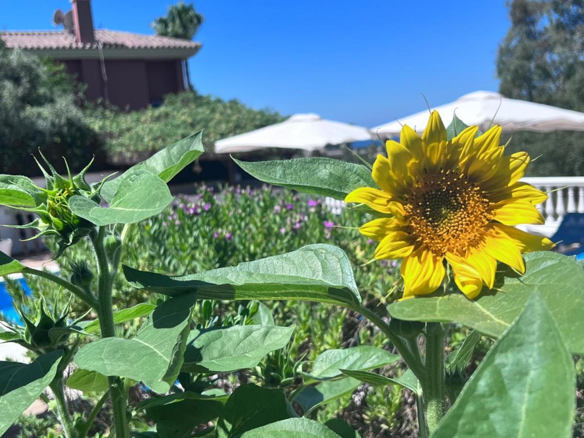 B&B Villa Michieli Marbella Luaran gambar